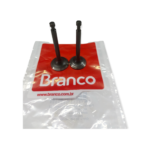 Jogo Valvula Motor Branco 5.5 6.5 7.0 Hp 19200130 - Imagem 2